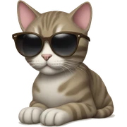 Cat with sunglasses sticker