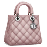 Dior bag sticker