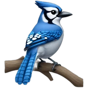 Blue jay sticker