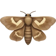 Moth sticker