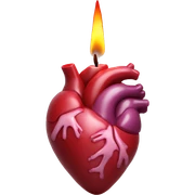 Anatomical heart candle sticker