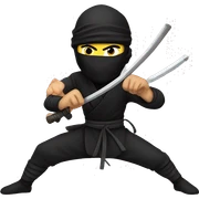 Ninja sticker