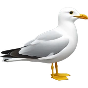 Seagull sticker