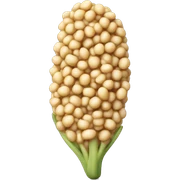 Quinoa sticker