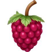Raspberry sticker