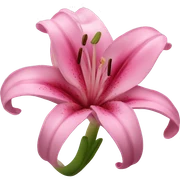 Pink lily sticker