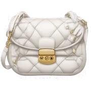 dior bag sticker
