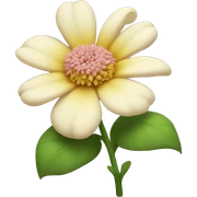 Flower sticker
