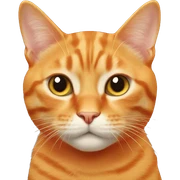 Orange cat  sticker