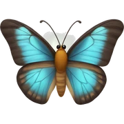 butterfly  sticker