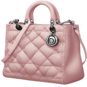 The Dior bag  sticker