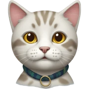 Scottish cat sticker