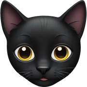 Black cat sticker