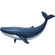 Narwall Whale sticker