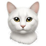 Gato blanco sticker
