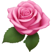 Pink rose sticker