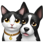 Black and white cat and dog  sticker