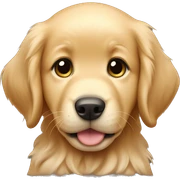 Golden retriever puppy sticker
