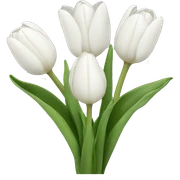 White tulips  sticker