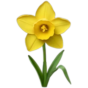 Daffodil sticker