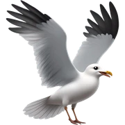 Seagull sticker