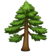 pine - tree sticker