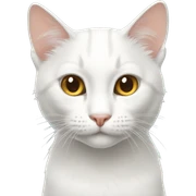 Gato blanco sticker