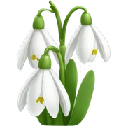 Snowdrop sticker