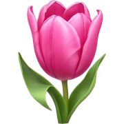 Pink tulips with a bow sticker