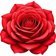 Rose sticker