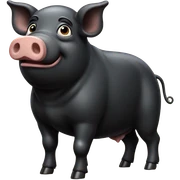 black pig  sticker