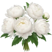 White peonies bouquet  sticker