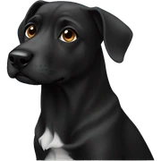 dog black  sticker