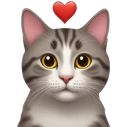cat in love sticker