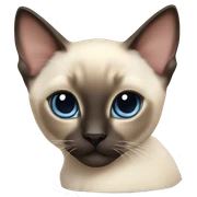 Siamese kitten laying sticker