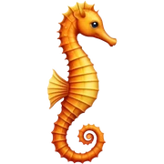 Seahorse  sticker