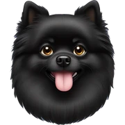 black pomeranian sticker