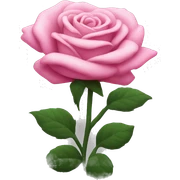 Pink rosebush sticker