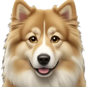 Finsk lapphund sticker