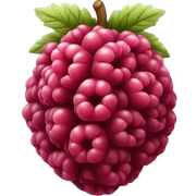 Raspberry  sticker