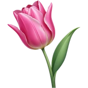 single pink Tulip, straight stem sticker