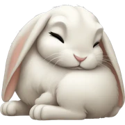 Bunny sleeping sticker