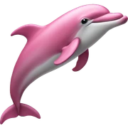 Rose Dolphin  sticker