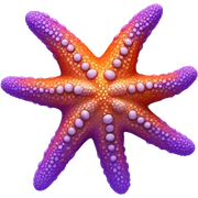 Star fish  sticker