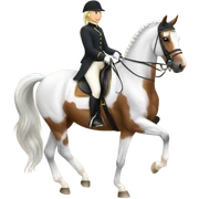 Dressage horse  sticker