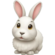 Conejo sticker