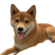 shiba inu with tongue out sticker