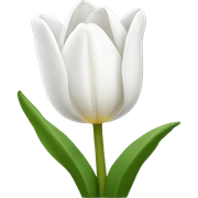 White tulip sticker