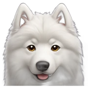 samoyed sticker