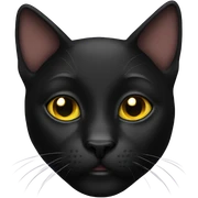 Black cat  sticker